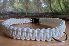 special-large-dog-collar