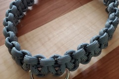 special-medium-dog-collar